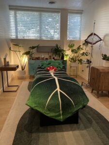 Modern Vibroacoustic Sound Lounge used for enhanced ketamine therapy sessions at Soft Reboot Wellness.