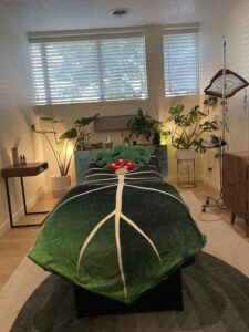 Vibroacoustic Sound Therapy and Ketamine: A Synergistic Approach to Deeper Somatic Release in the Bay Area