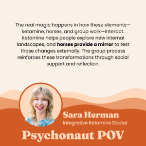 A graphic featuring Dr. Sara Herman, Integrative Ketamine Doctor, with a quote about the interplay between ketamine, horses, and group work. The text highlights how ketamine facilitates internal exploration, horses provide external feedback, and the group process offers social support. The graphic includes an image of Dr. Herman smiling and the title 'Psychonaut POV.'